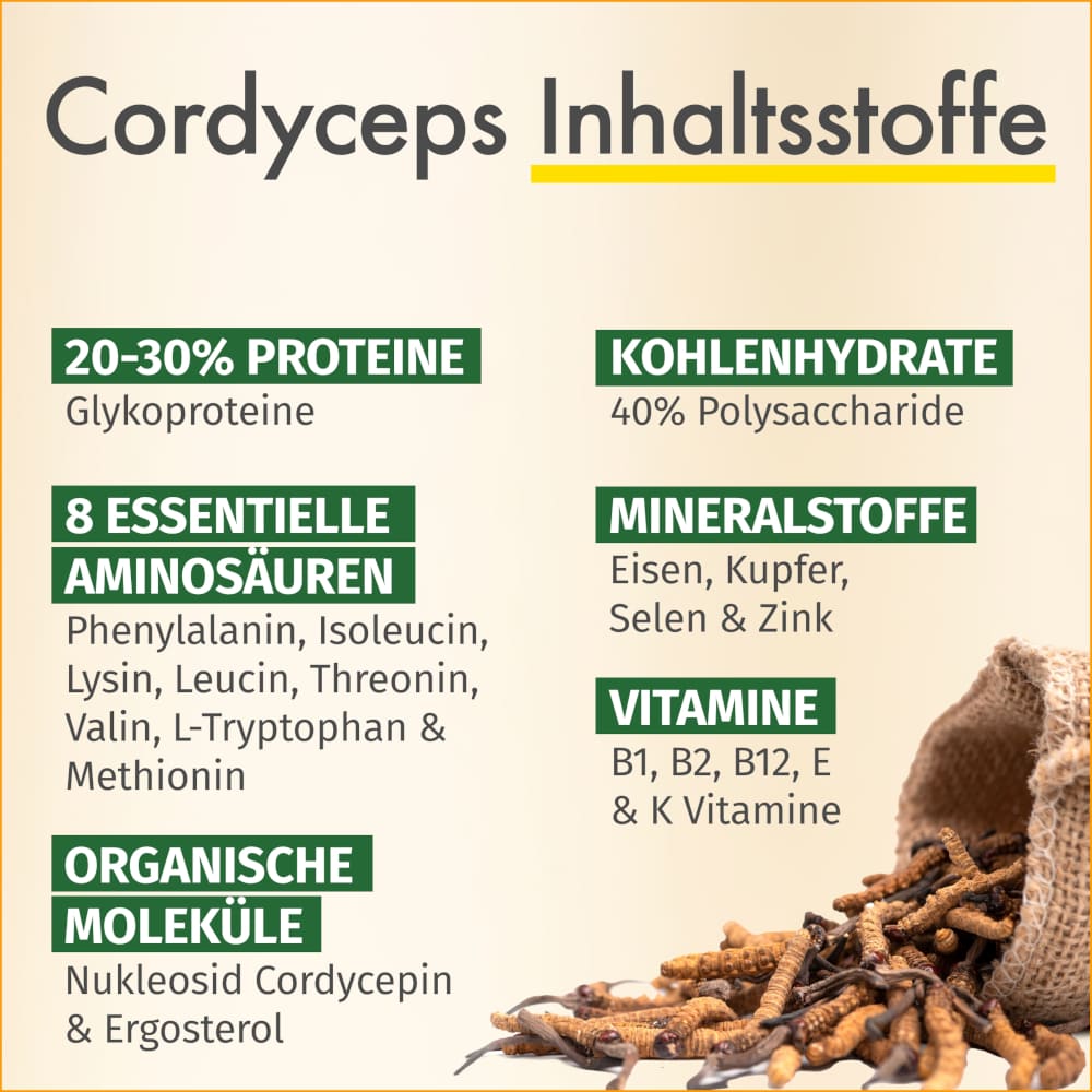 GREEN NATURALS Cordyceps sinensis 180 St Kapseln