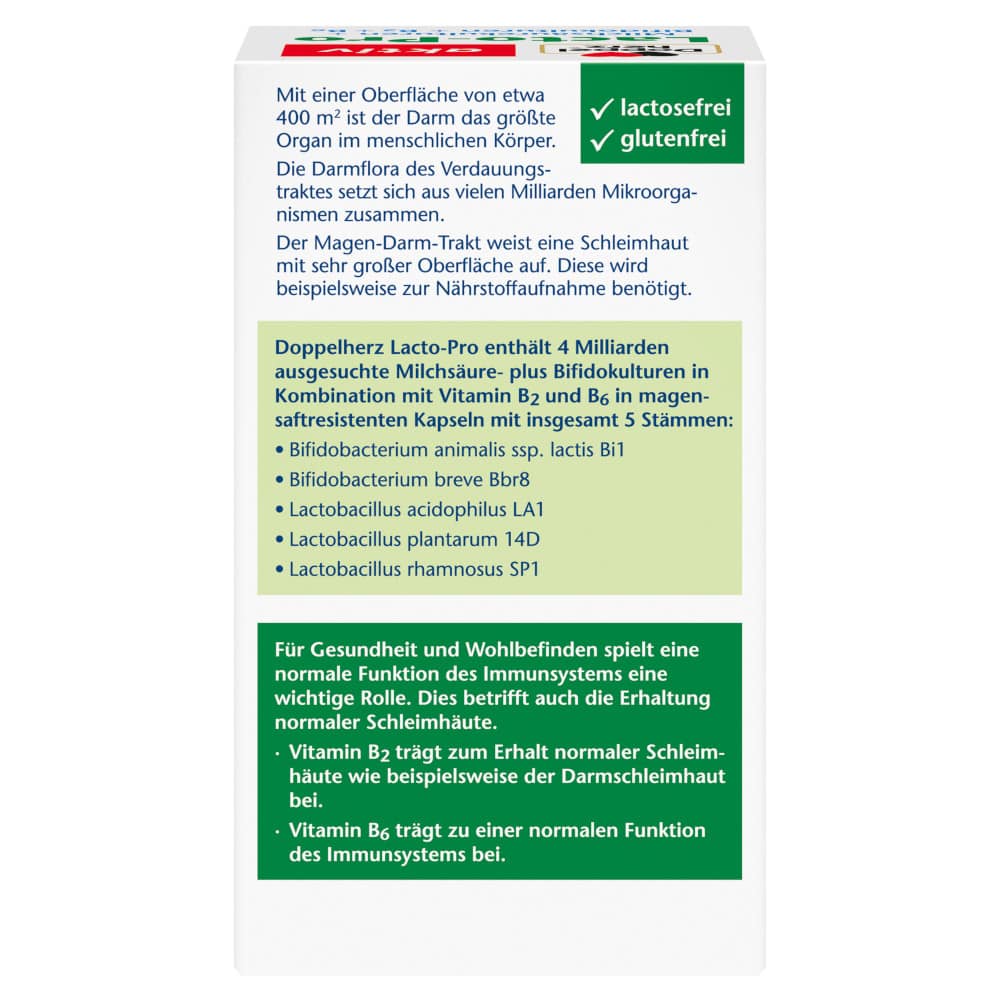 Doppelherz aktiv Lacto-Pro 60 St Kapseln