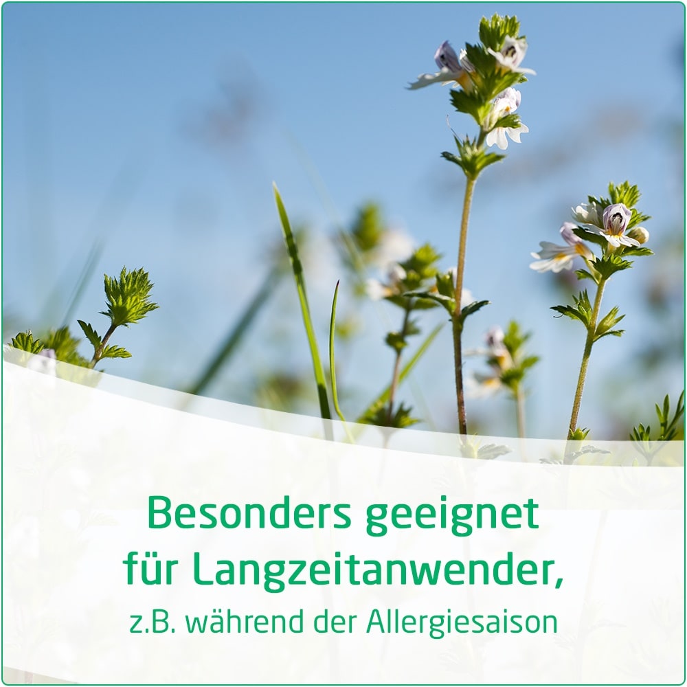 WELEDA VISIODORON EUPHRASIA 10 ml Augentropfen
