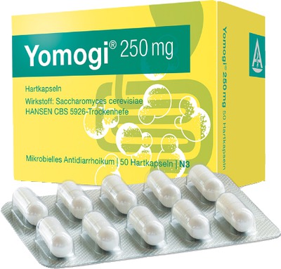 Yomogi 250mg 5 Billionen Zellen 50 St Hartkapseln
