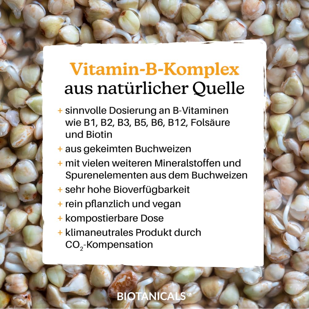 BIOTANICALS VITAMIN B KOMPLEX 90 St Kapseln