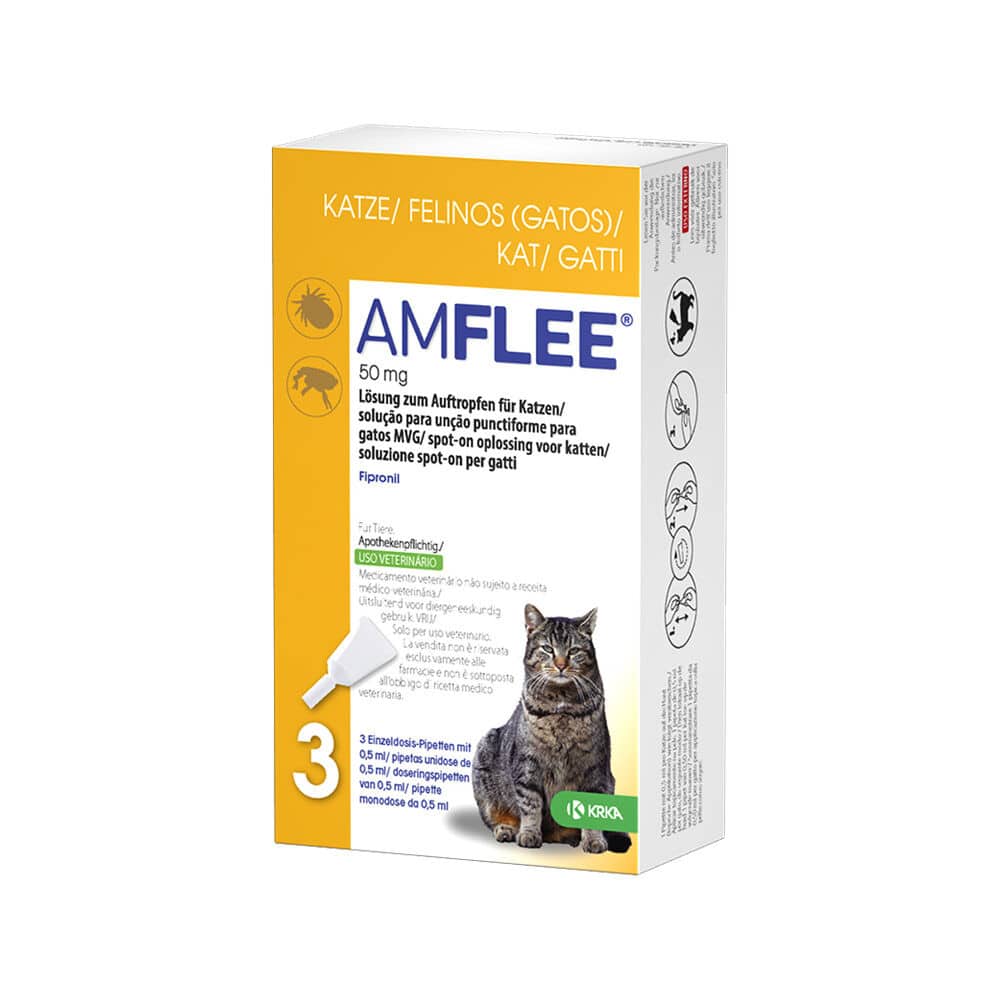 AMFLEE 50 mg Spot-on Lösung zum Auftropfen für Katzen 3 St Lösung