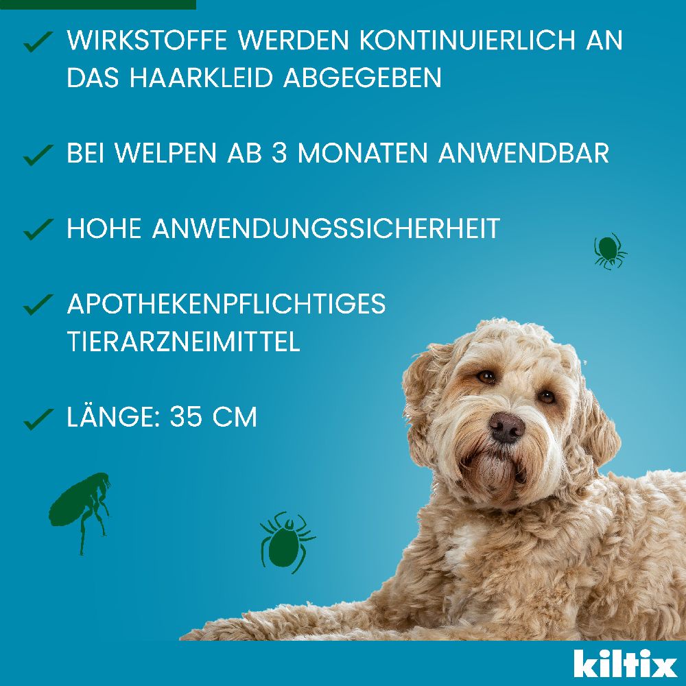 KILTIX Halsband für kleine Hunde 1 St Halsband