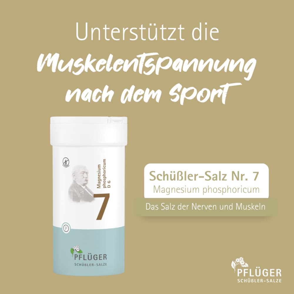 Schüßler-Salz Nr. 7 Magnesium phosphoricum D6 400 St Tabletten