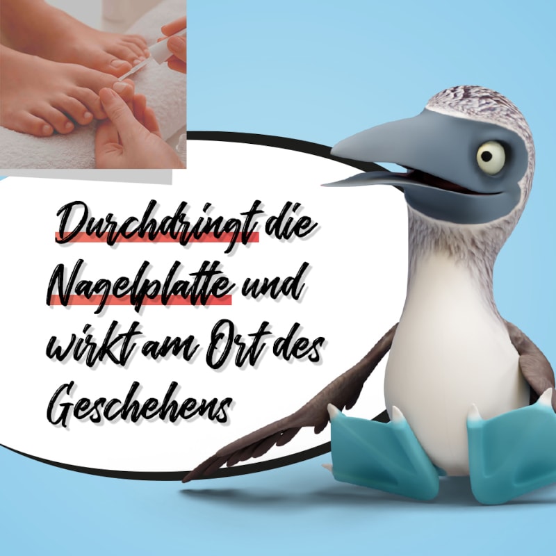 Ciclopirox Dexcel 80 mg/g gegen Nagelpilz 6.6 ml Wirkstoffhaltiger Nagellack