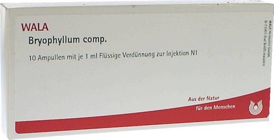 Bryophyllum comp.Ampullen 10X1 ml Ampullen