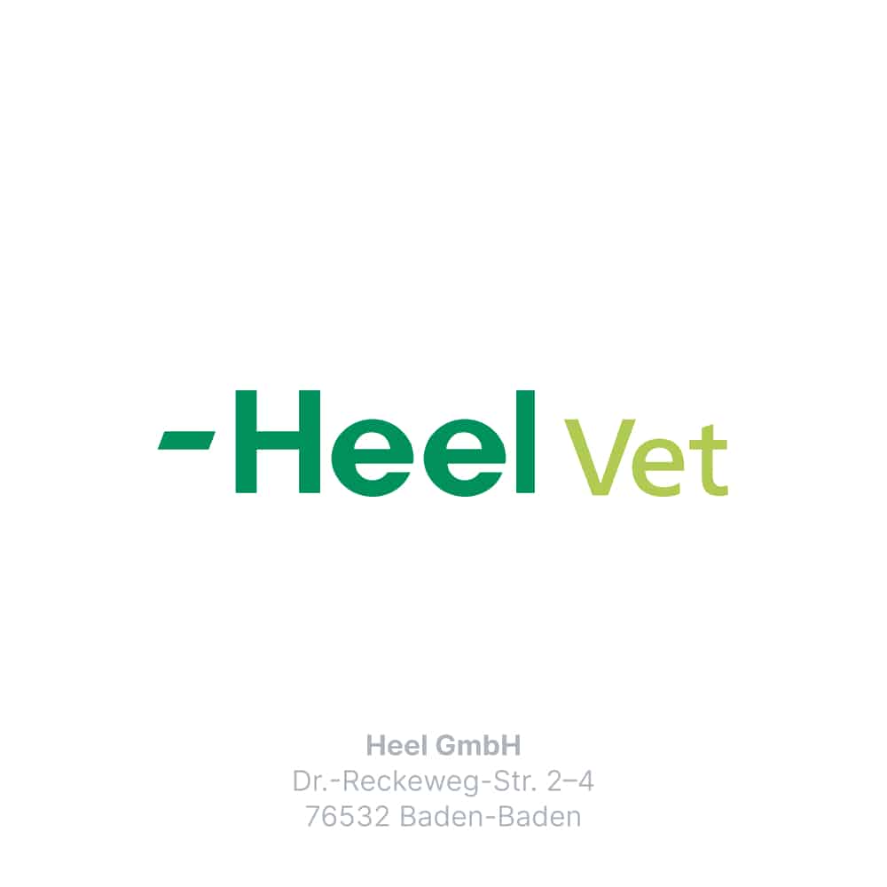 Traumel LT ad us. vet. 500 St Tabletten