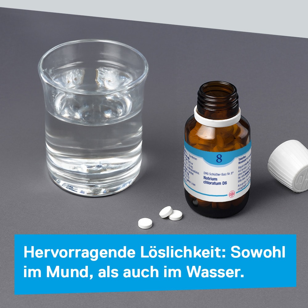 DHU Schüßler-Salz Nr. 8 Natrium chloratum D6 80 St Tabletten