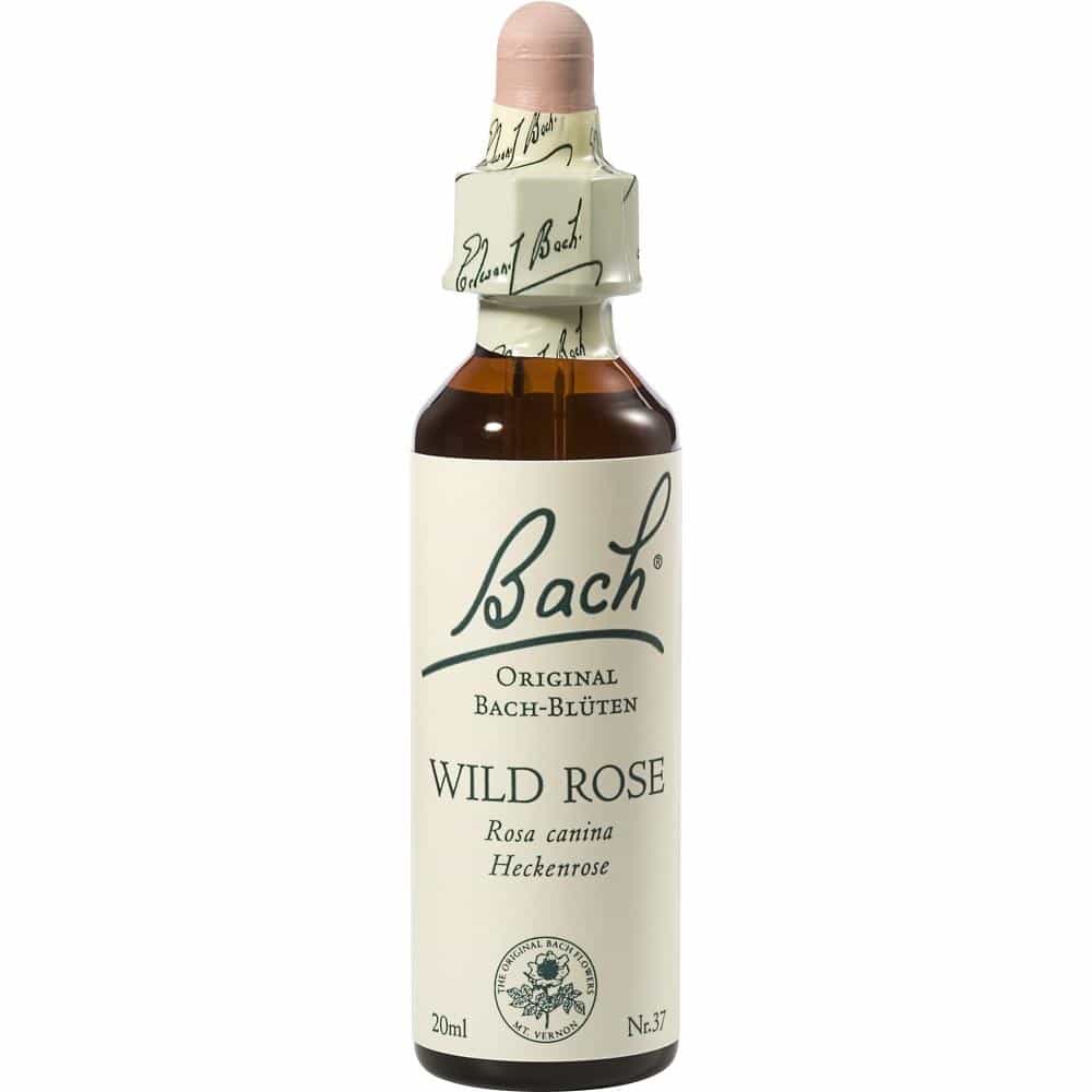 BACHBLÜTEN Original Wild Rose Nr.37 20 ml Tropfen