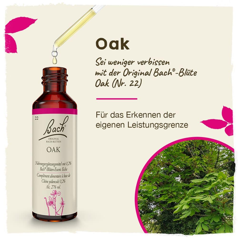 BACHBLÜTEN Original Oak Nr. 22 20 ml Tropfen