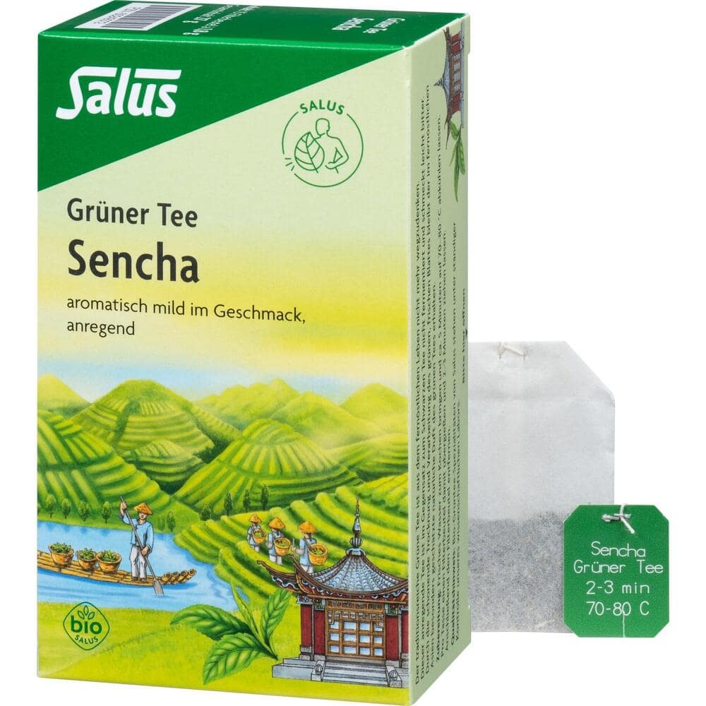 Salus Grüner Tee Bio 15 St Filterbeutel
