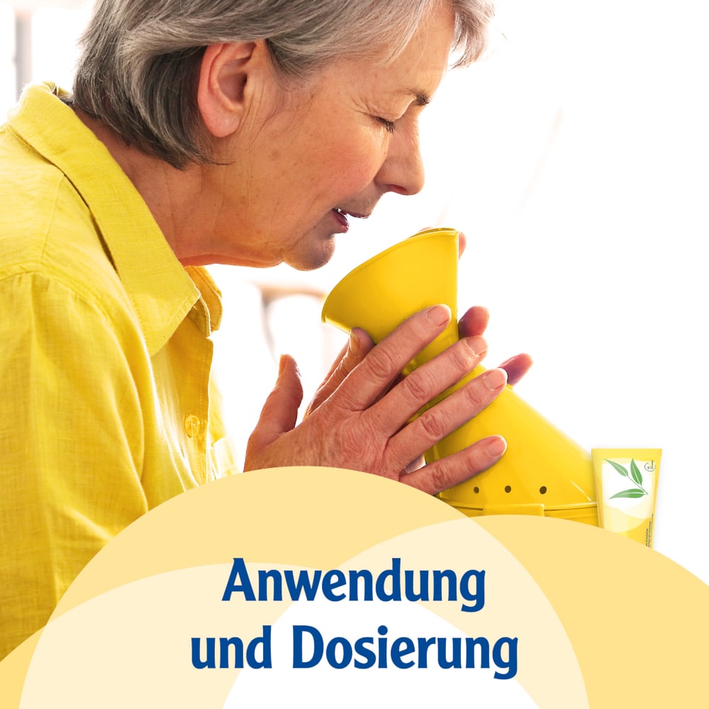 Pinimenthol Erkältungssalbe ab 12 Jahren - mit Eucalyptusöl, Kiefernnadelöl und Menthol 50 g Creme