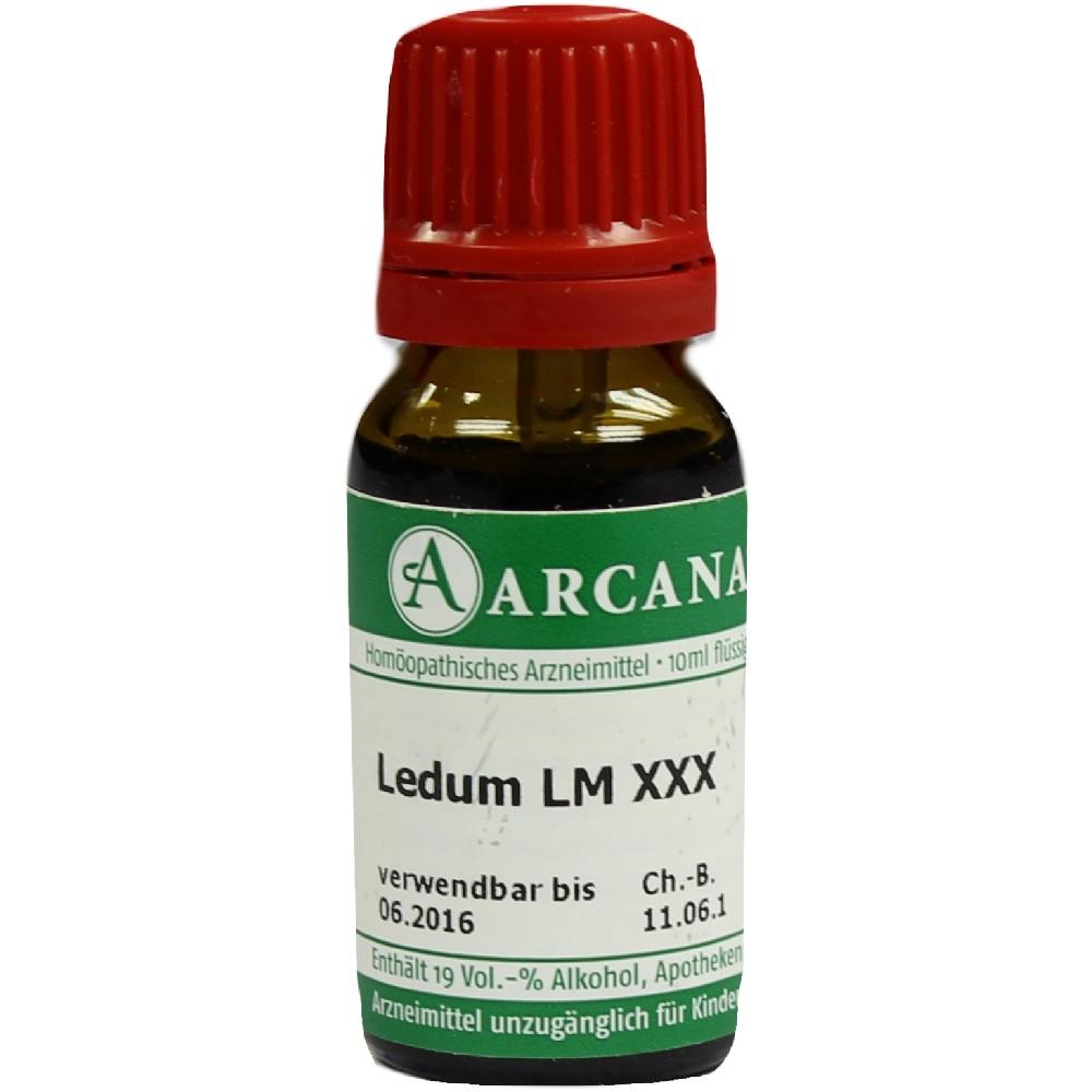 LEDUM LM 30 Dilution 10 ml Dilution
