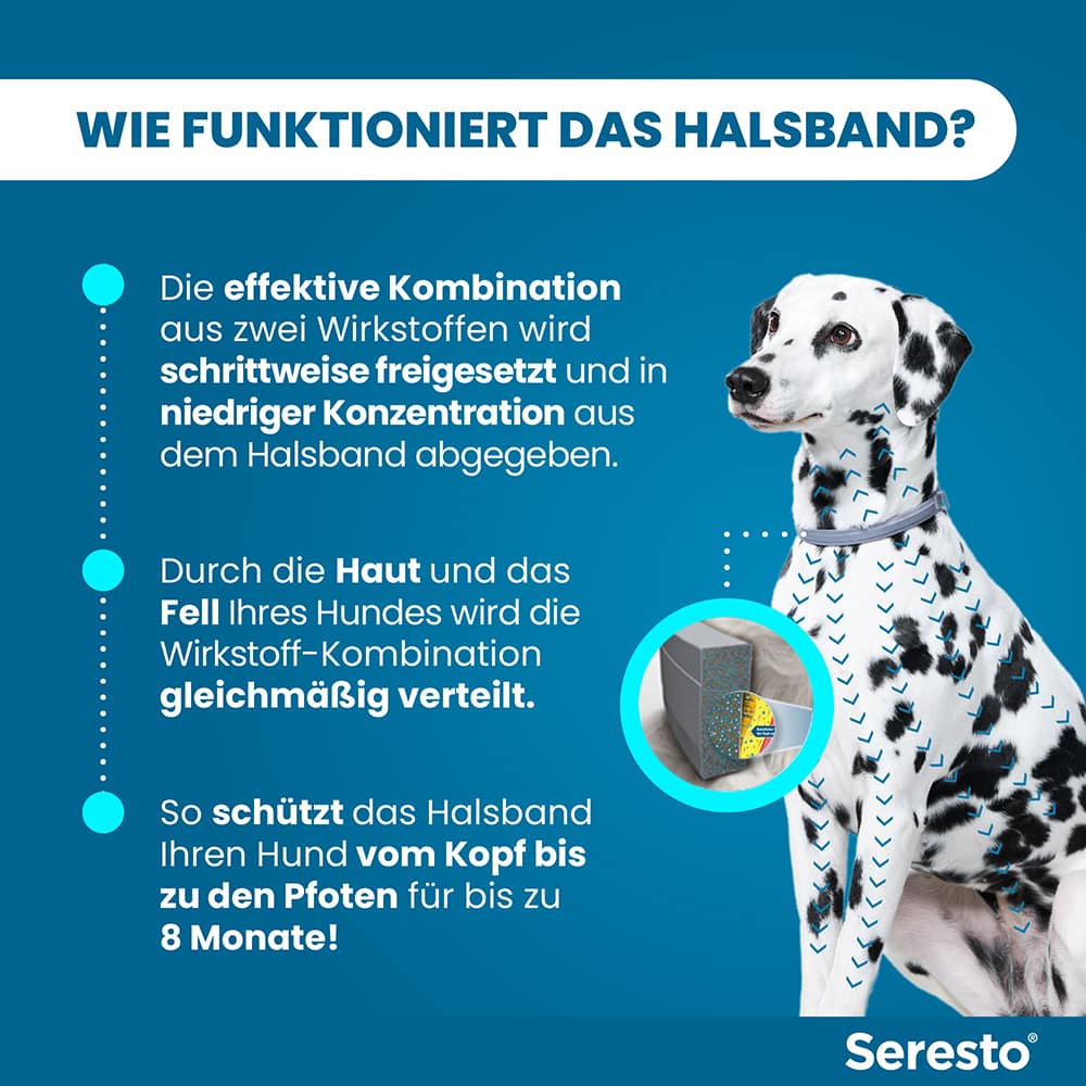 Seresto Halsband für große Hunde ab 8 kg 1 St Halsband