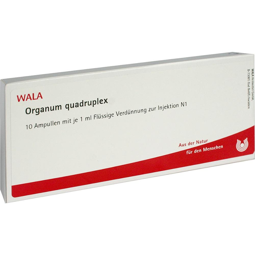 Organum quadruplex Ampullen 10X1 ml Ampullen