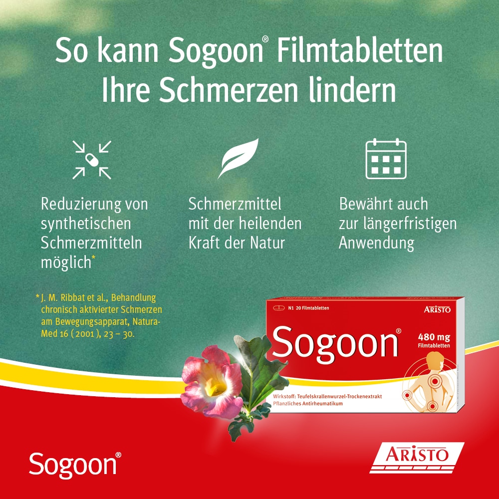 Sogoon 480 mg 200 St Filmtabletten