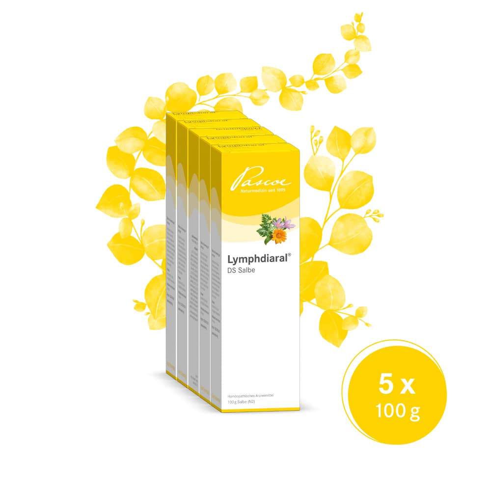 LYMPHDIARAL DS Salbe 5X100 g Salbe