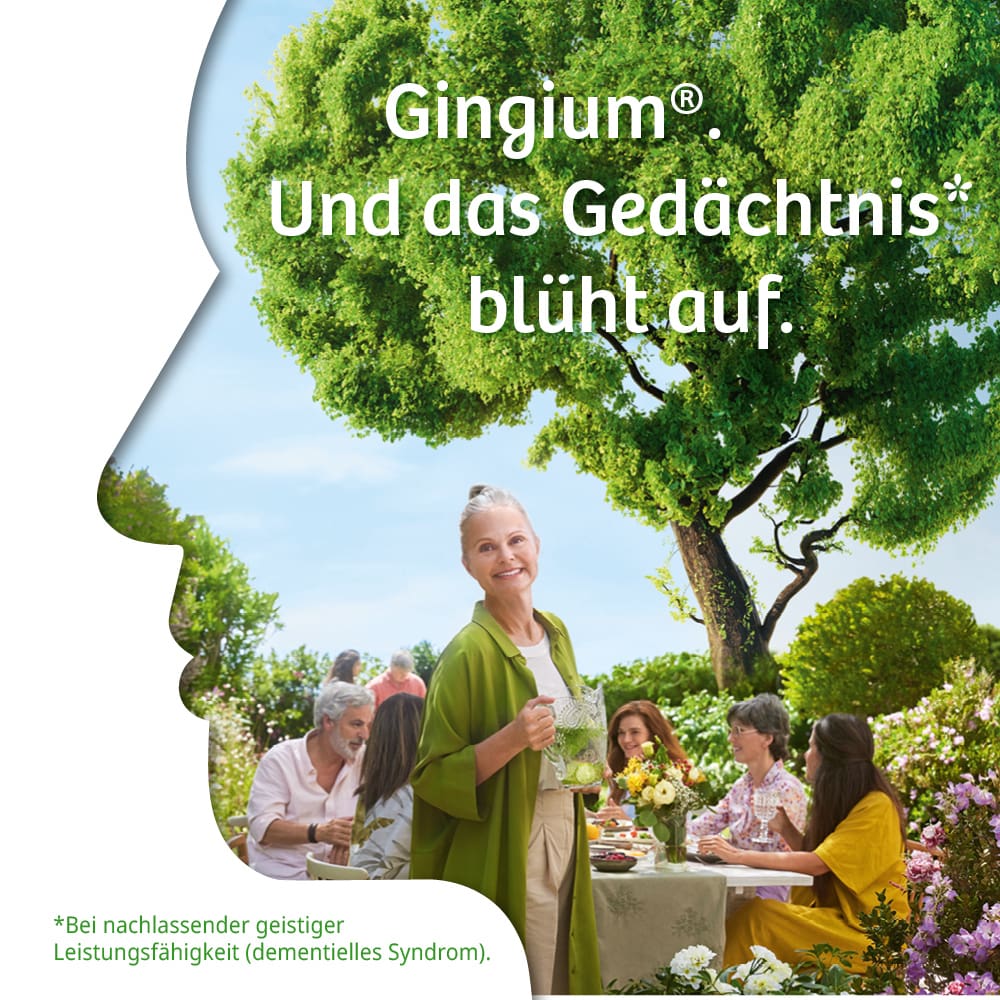Gingium 80 mg 120 St Filmtabletten