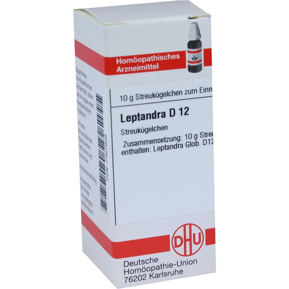 LEPTANDRA D 12 Globuli 10 g Globuli