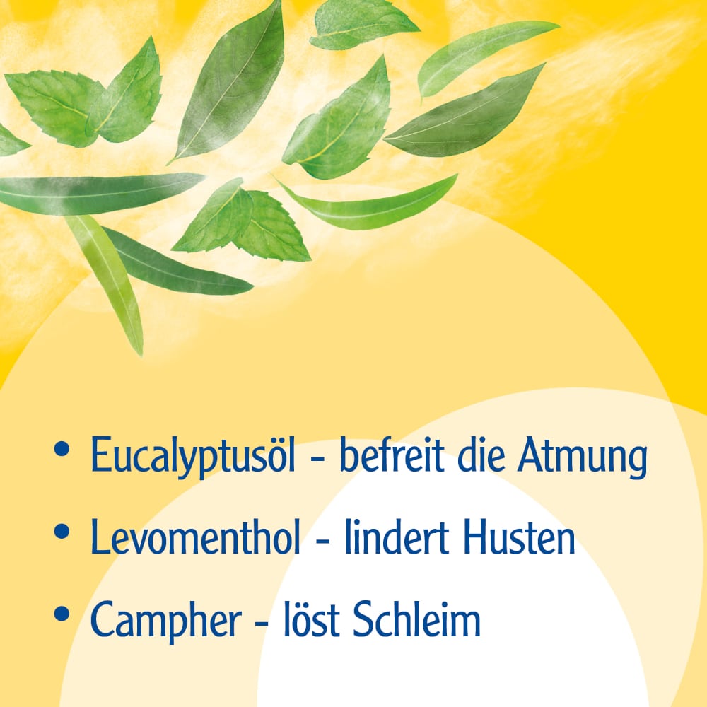 Pinimenthol Erkältungsbad ab 12 Jahren - mit Eucalyptusöl, Menthol und Campher 1000 ml Bad