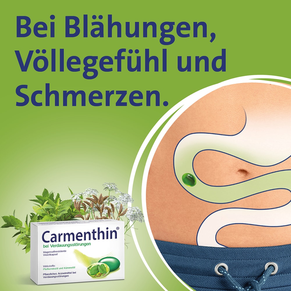 Carmenthin bei Verdauungsstörungen  42 St Magensaftresistente Weichkapseln