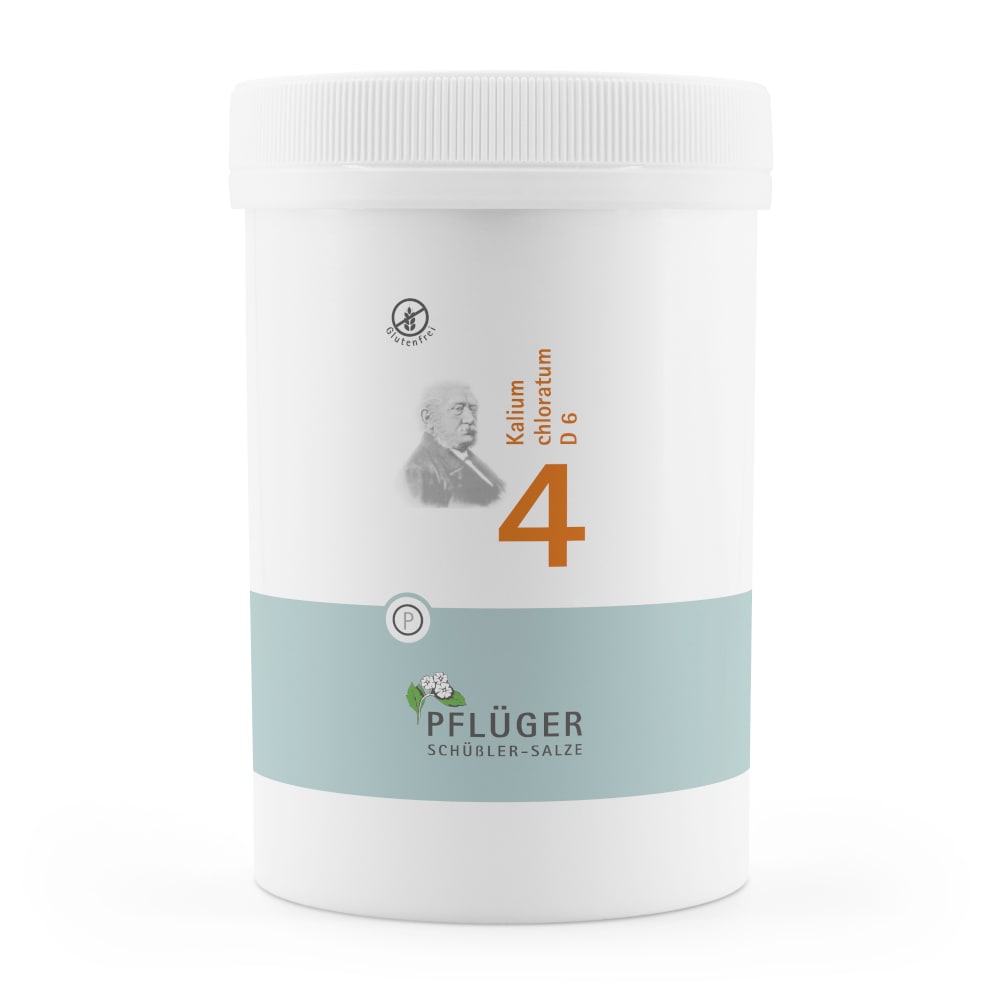 Schüßler-Salz Nr. 4 Kalium chloratum D6 4000 St Tabletten