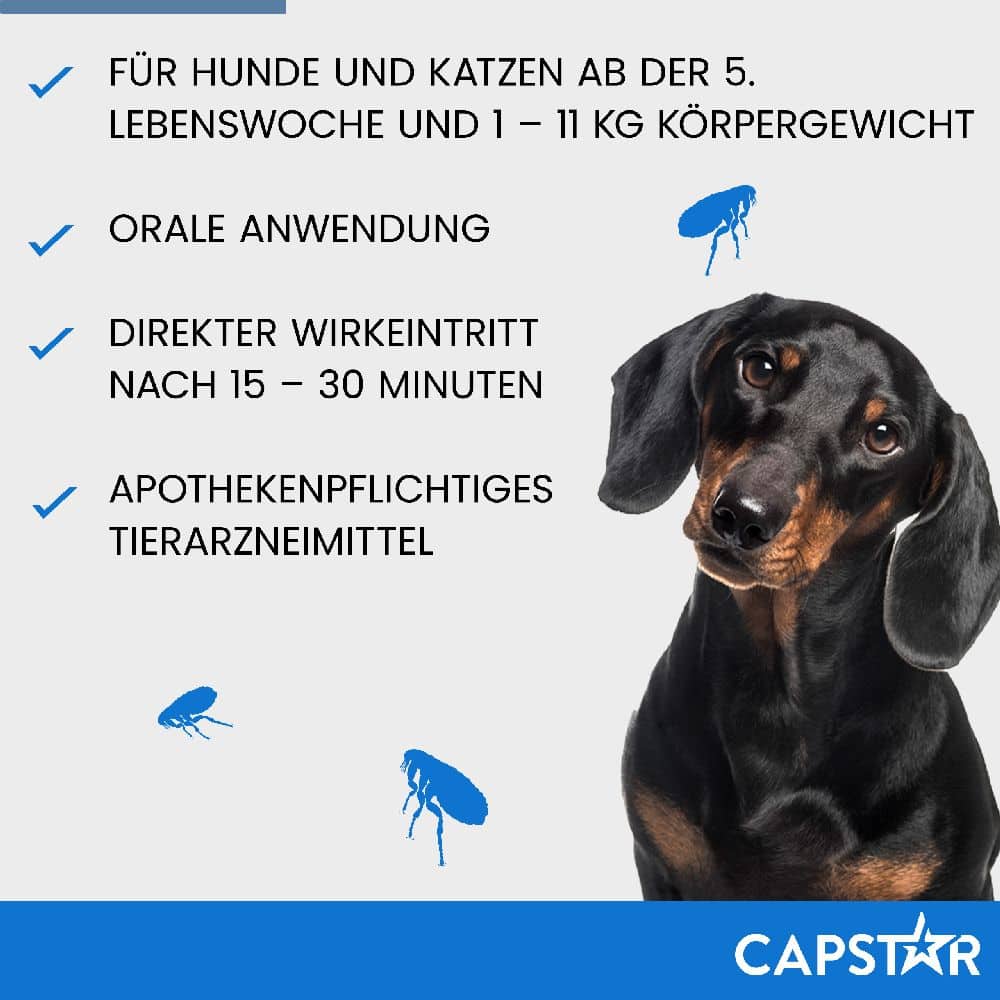 CAPSTAR 11,4 mg für Katzen und kleine Hunde 6 St Tabletten