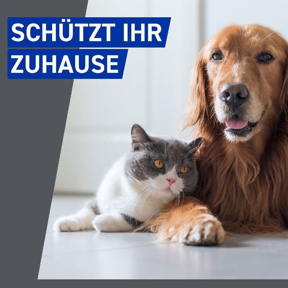 FRONTLINE HOMEGARD  zur gezielten Umgebungsbehandlung gegen Zecken, Flöhe & Flohlarven 250 ml Spray