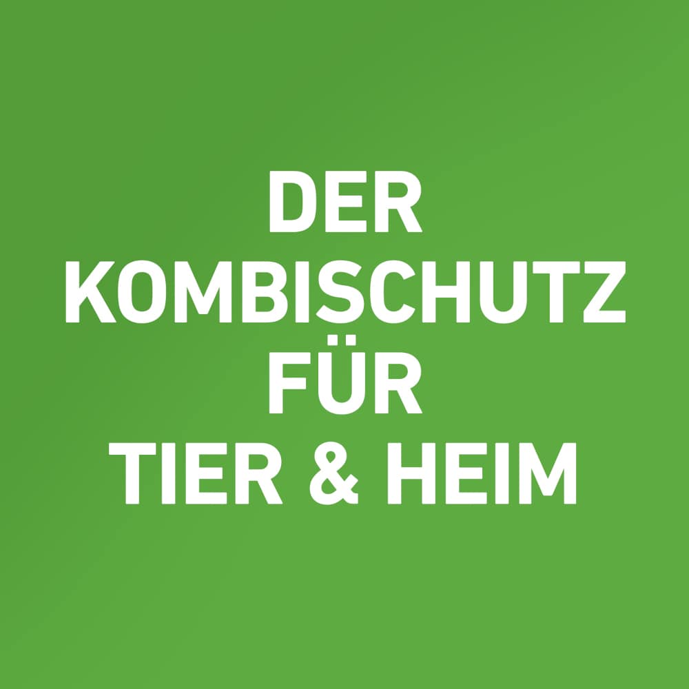 FRONTLINE COMBO gegen Zecken, Flöhe (Flöhe, Eier, Larven, Puppen) für Hunde S (5-10 Kg) 3 St Lösung