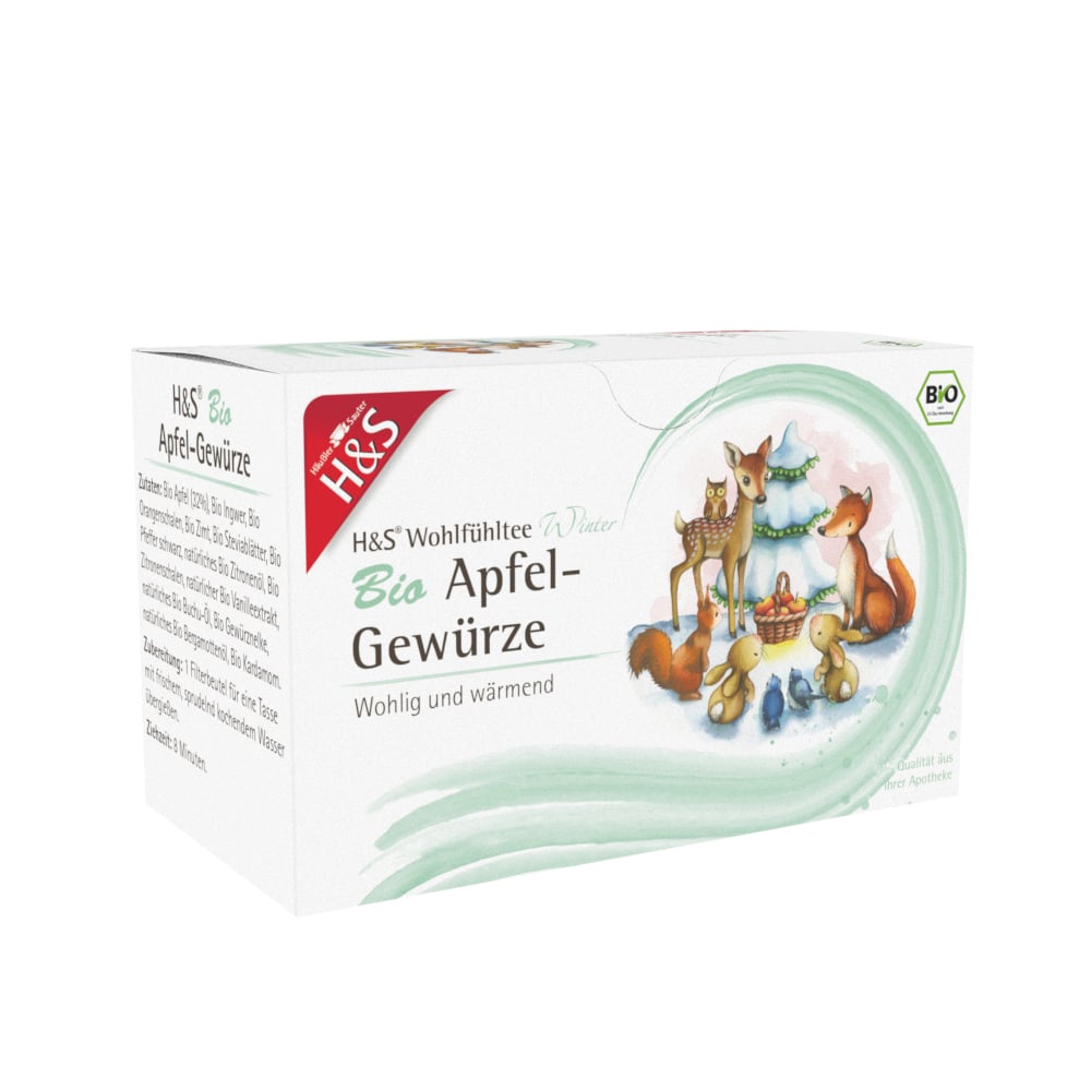 H&S Wohlfühltee Wintertee Bio Apfel 20X2.0 g Filterbeutel