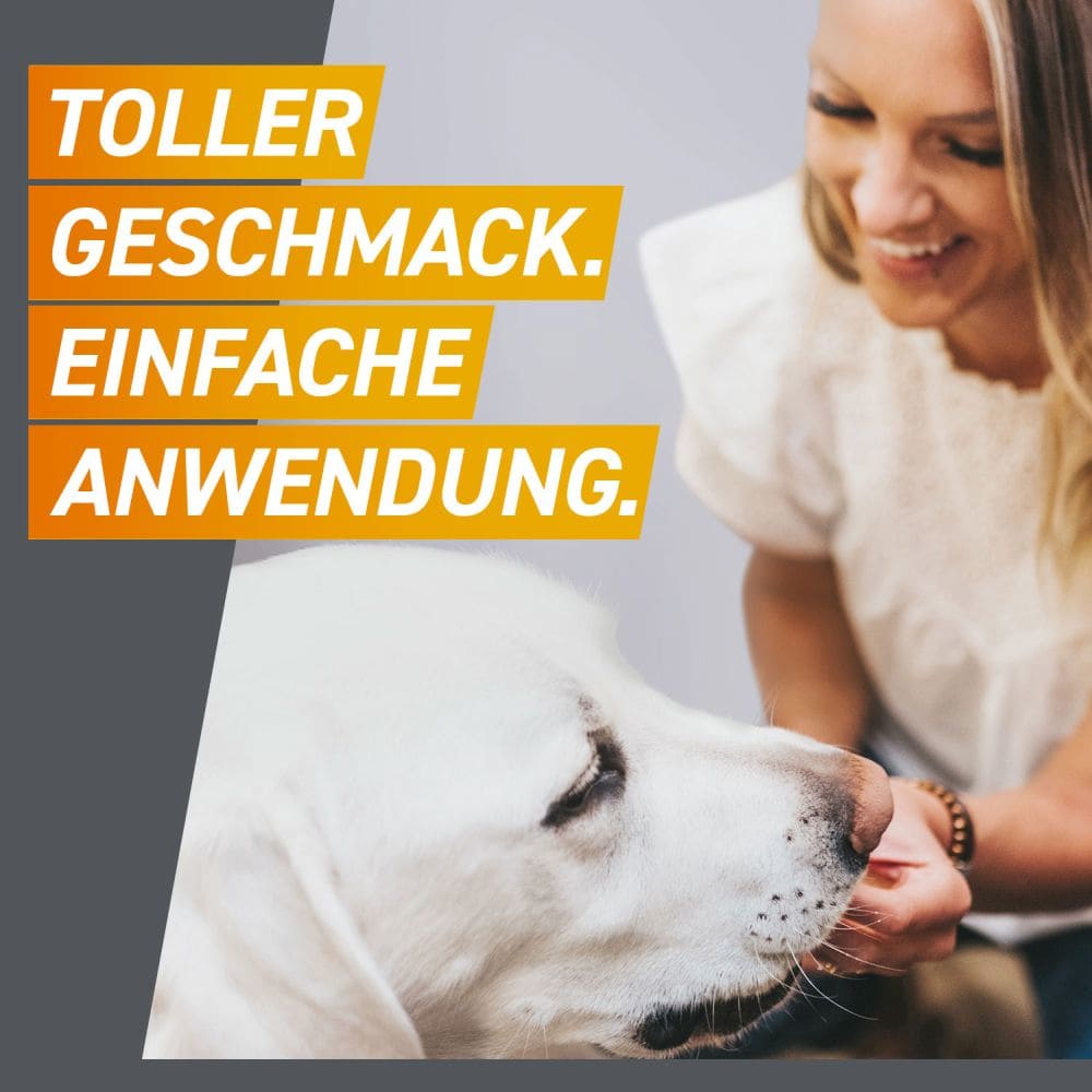FRONTPRO Kautabletten für Hunde (>25-50kg) 3 St Kautabletten