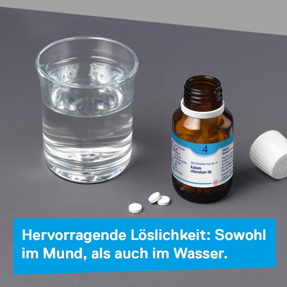 DHU Schüßler-Salz Nr. 4 Kalium chloratum D6  200 St Tabletten