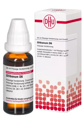 OLIBANUM D 6 Dilution 20 ml Dilution