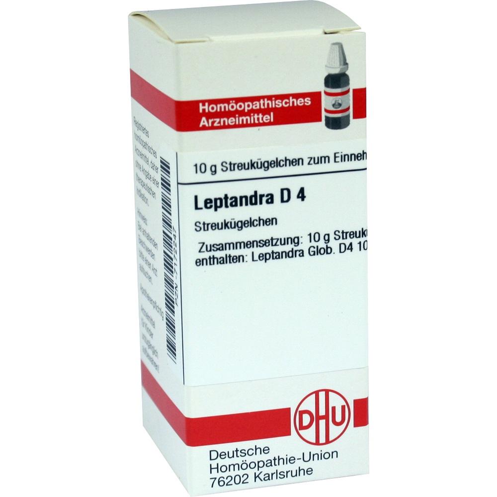 LEPTANDRA D 4 Globuli 10 g Globuli