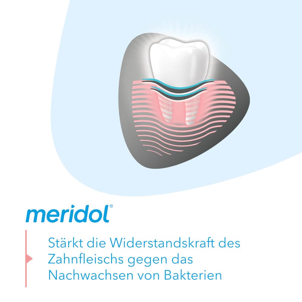 merdiol ZAHNFLEISCHSCHUTZ & SANFTES WEISS Zahnpasta 75 ml Zahnpasta