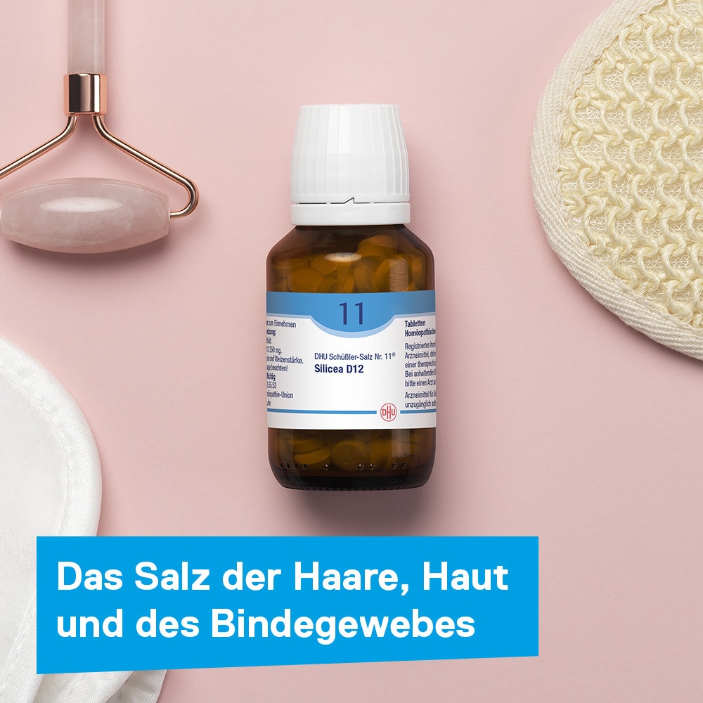 DHU Schüßler-Salz Nr. 11 Silicea D12 200 St Tabletten