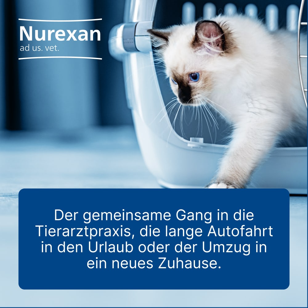 Nurexan ad us. vet. Für Hunde und Katzen 100 St Tabletten
