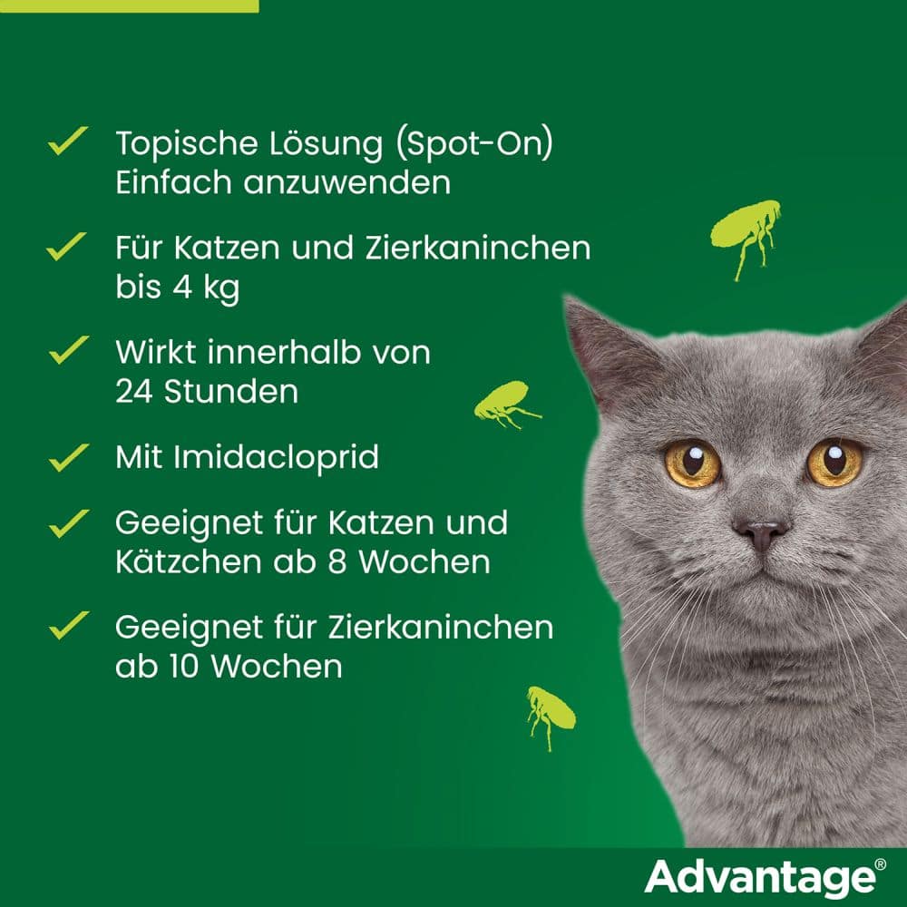 Advantage 40 mg für kleine Katzen und kleine Zierkaninchen 4X0.4 ml Lösung