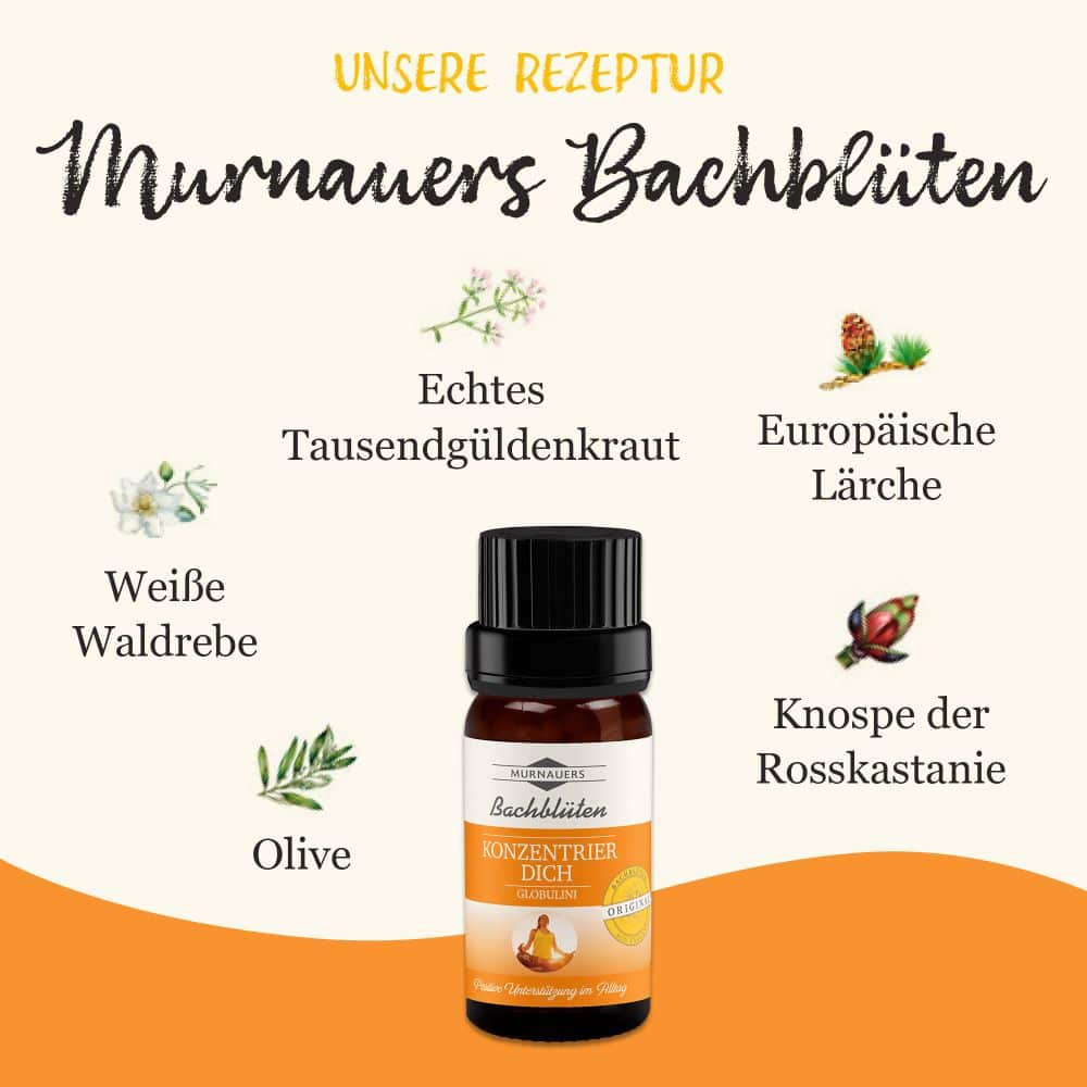 MURNAUERS Bachblüten Konzentrier Dich Globulini 10 g Globuli