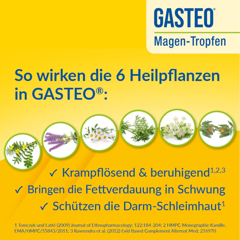 Gasteo  50 ml Flüssigkeit zum Einnehmen