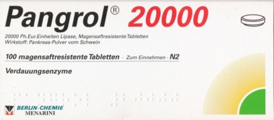 Pangrol 20000 100 St Tabletten magensaftresistent