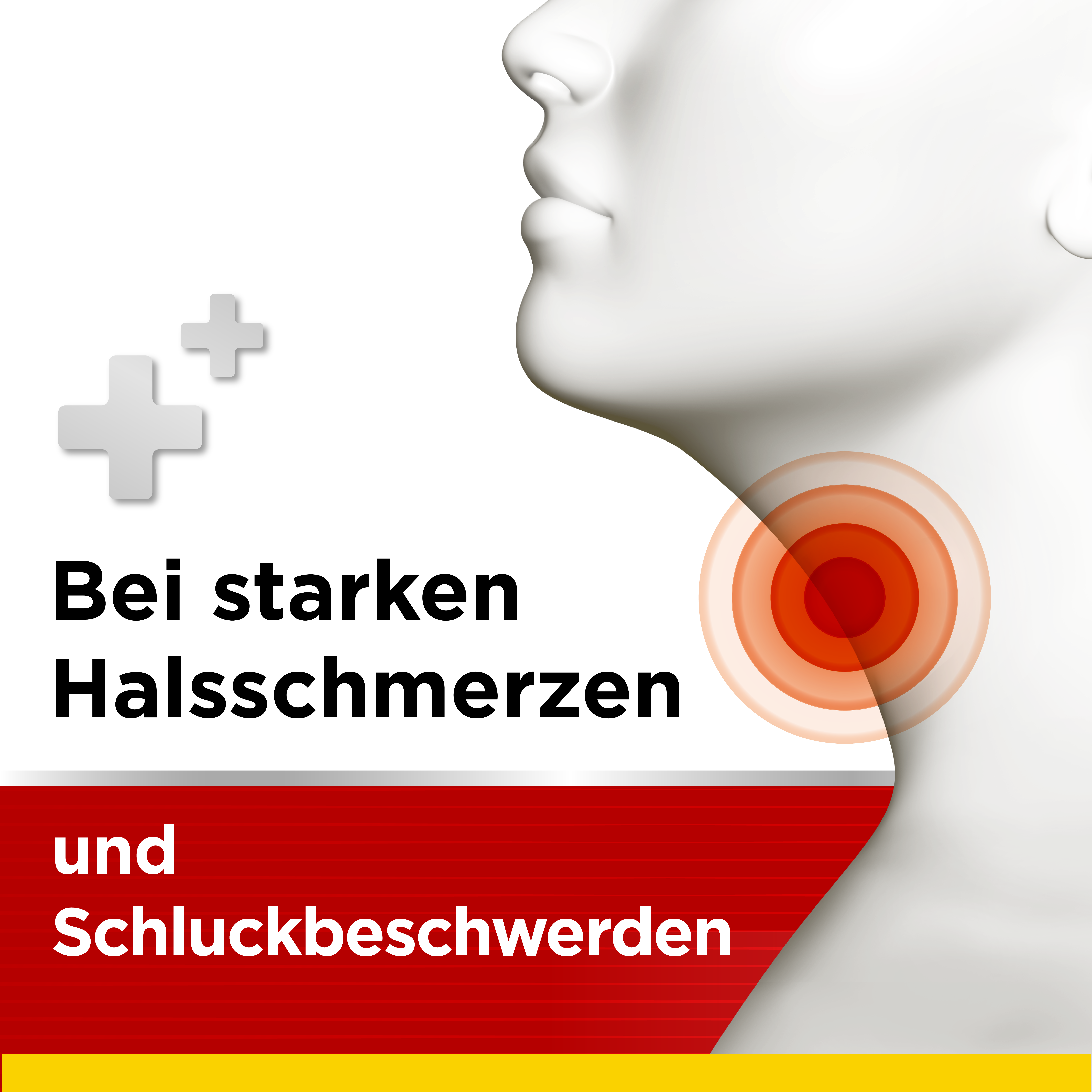 Dobendan Direkt Doppelpack 1 Sparset