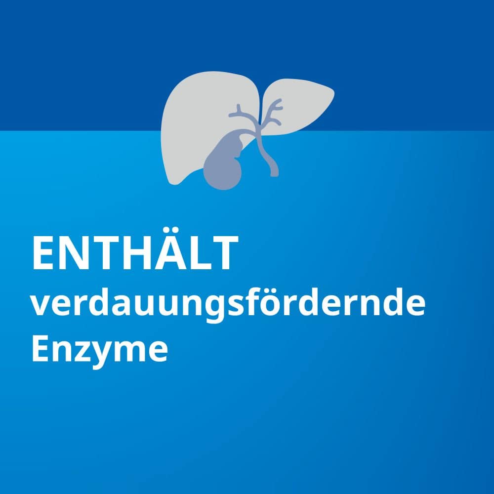 Pankreatin STADA 20000 200 St Magensaftresistente Hartkapseln