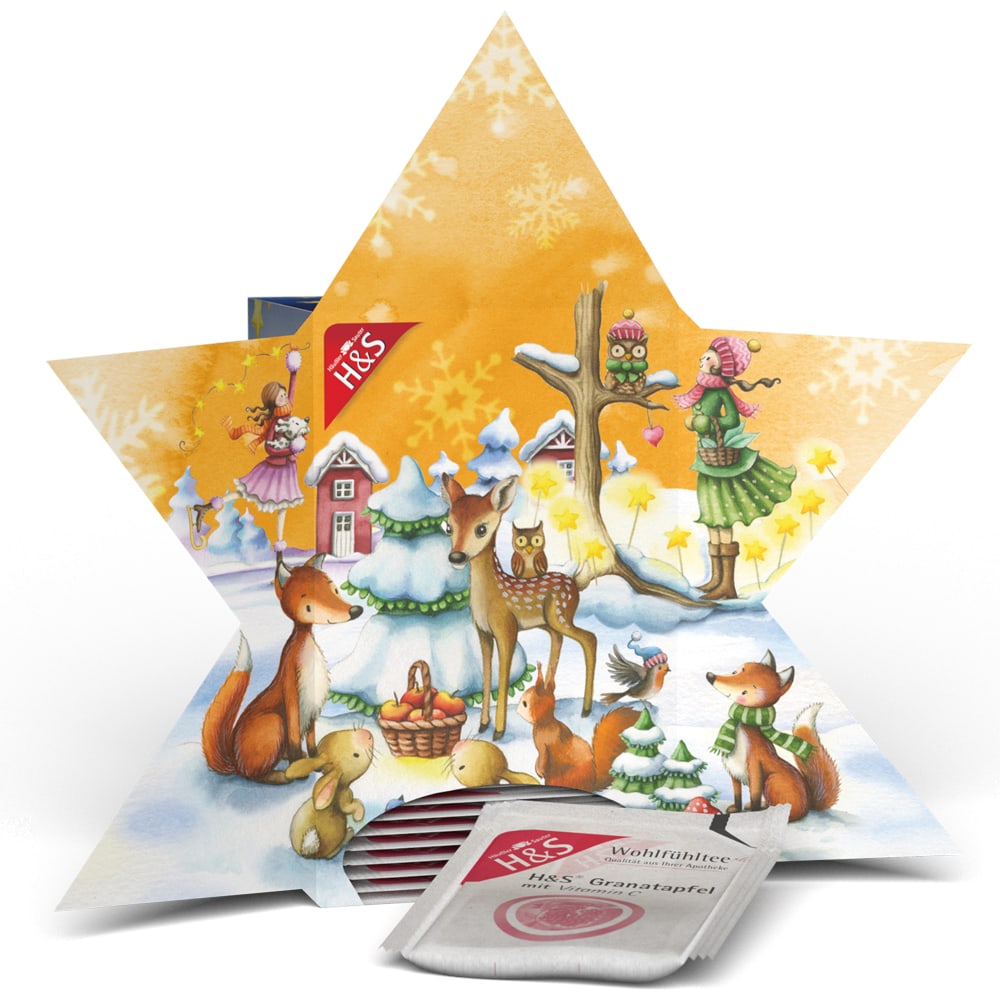 H&S Adventskalender Stern 24 St Filterbeutel