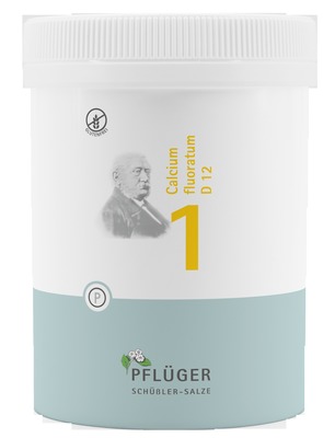 Schüßler-Salz Nr. 1 Calcium fluoratum D12 1000 St Tabletten