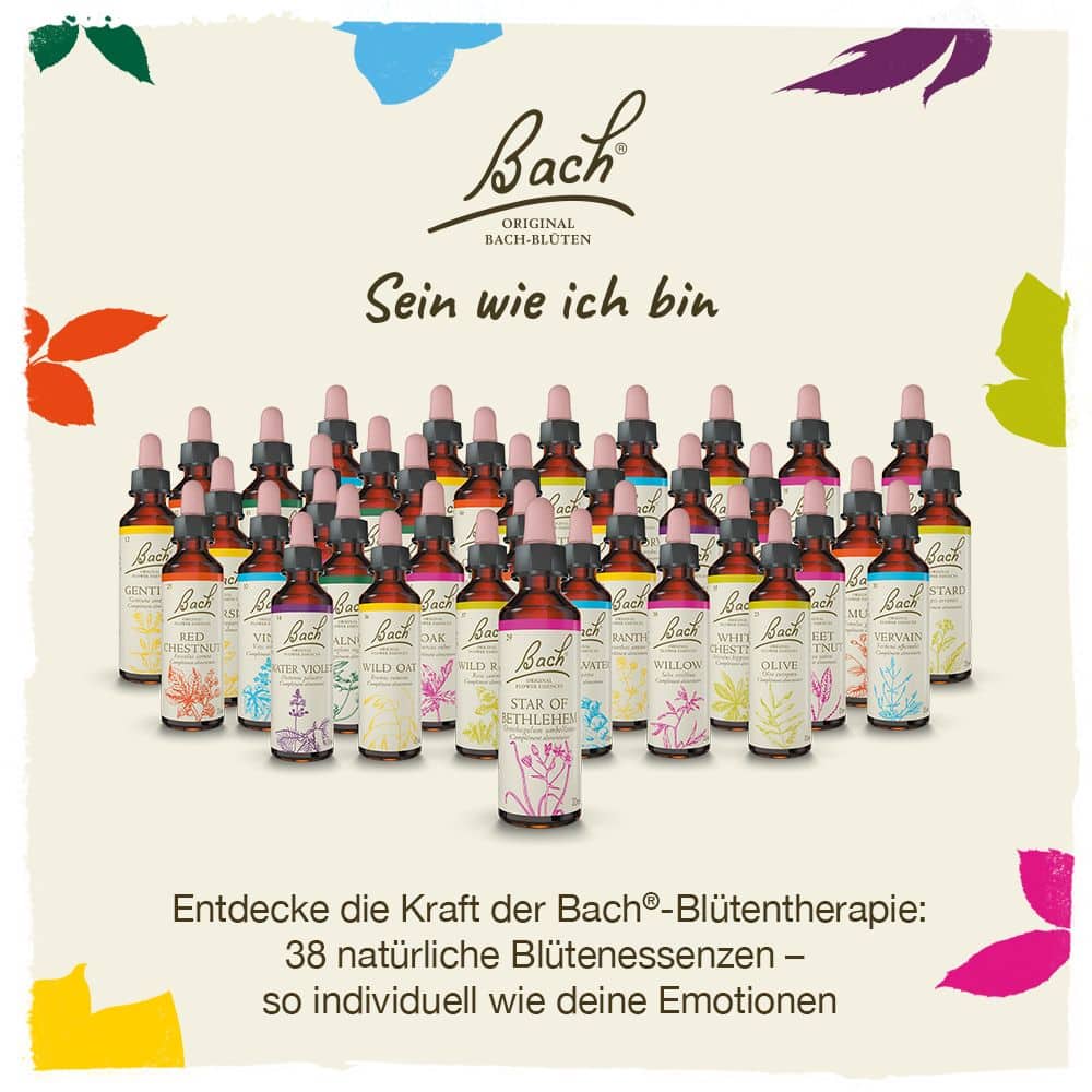 BACHBLÜTEN Original Olive Nr. 23 20 ml Tropfen