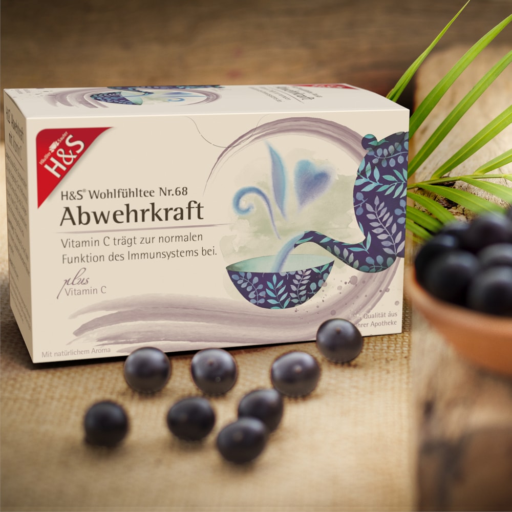 H&S Wohlfühltee Abwehrkraft Vitamin C Tee 20X1.8 g Filterbeutel
