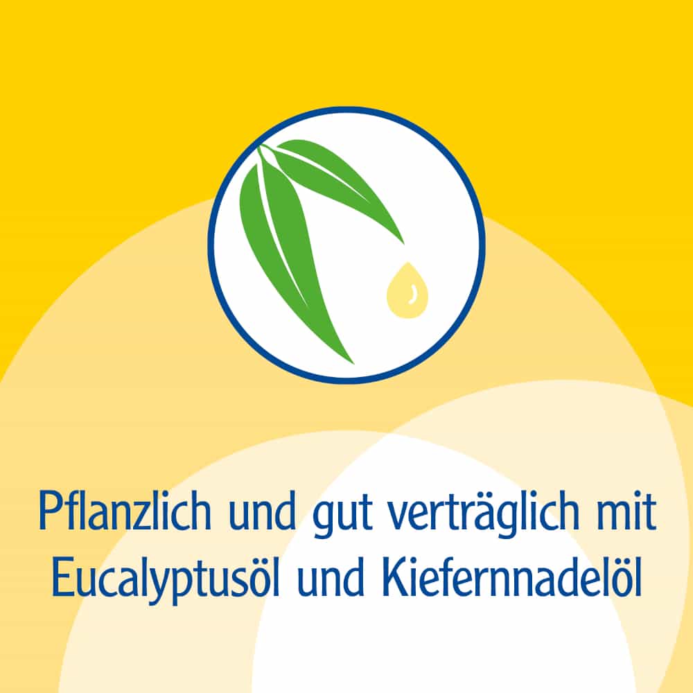 Pinimenthol Erkältungsbalsam mild ab 2 Jahren - mit Eucalyptus- und Kiefernnadelöl 50 g Salbe
