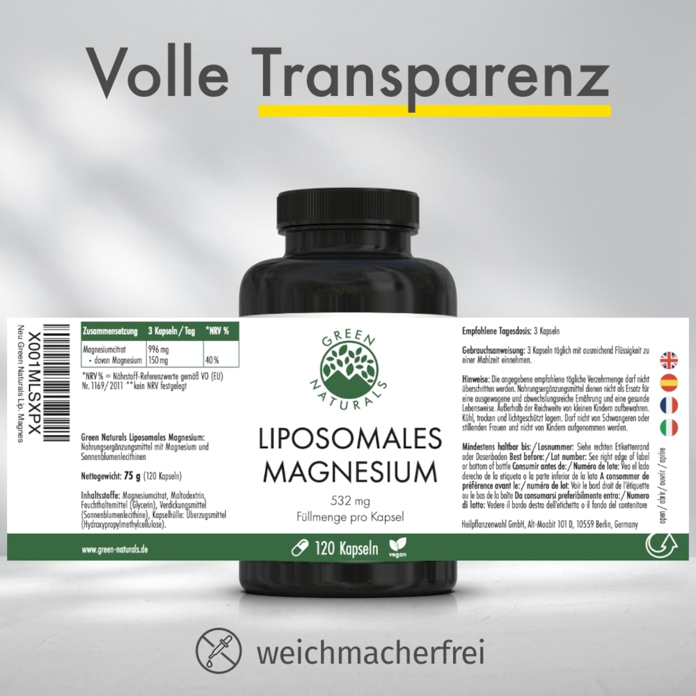 GREEN NATURALS Magnesium Citrat 120 St Kapseln