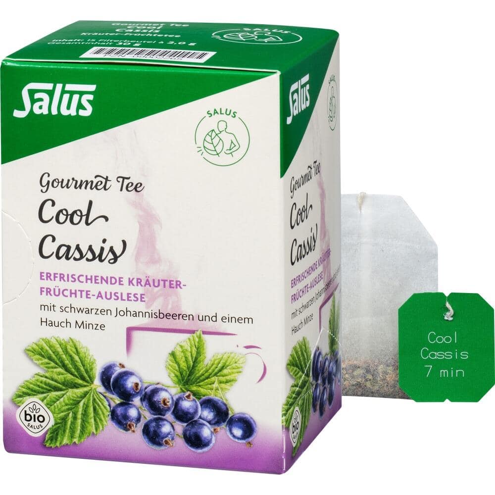 Salus Cool Cassis Kräuter-Früchte-Tee 15 St Filterbeutel
